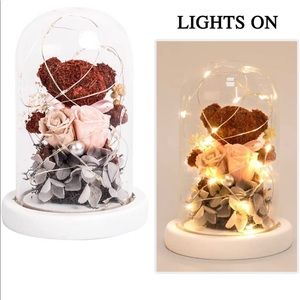 Artificial Rose With Brown Bear In Dome With LED Surround Light